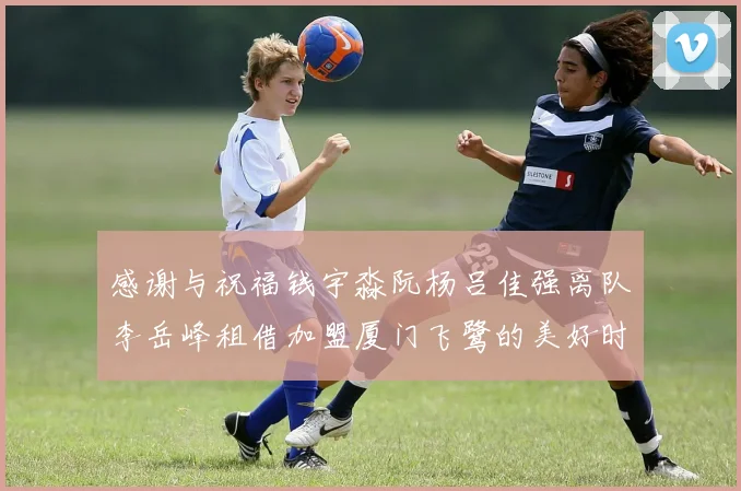 感谢与祝福钱宇淼阮杨吕佳强离队李岳峰租借加盟厦门飞鹭的美好时刻